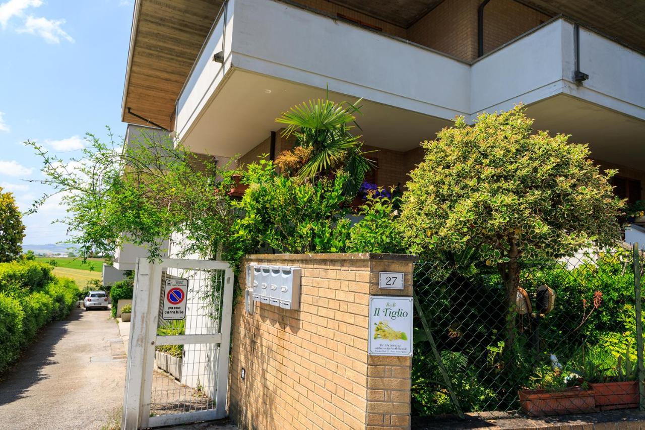 B&B Il Tiglio Porto SantʼElpidio Εξωτερικό φωτογραφία